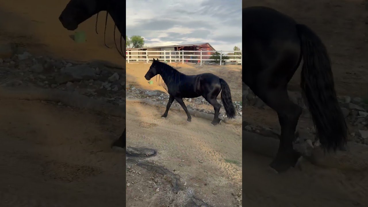 Santiago!